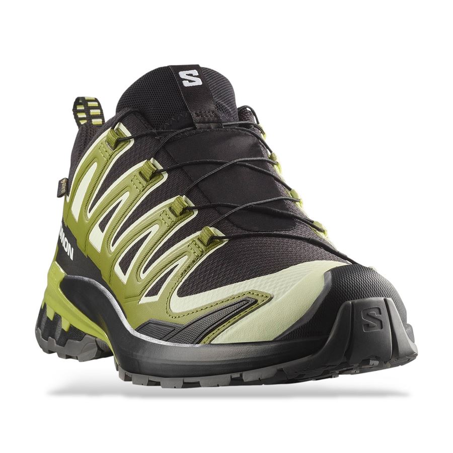 Xa Pro 3d V9 Gore-tex scarpe da trail running da uomo Salomon | L47741900X