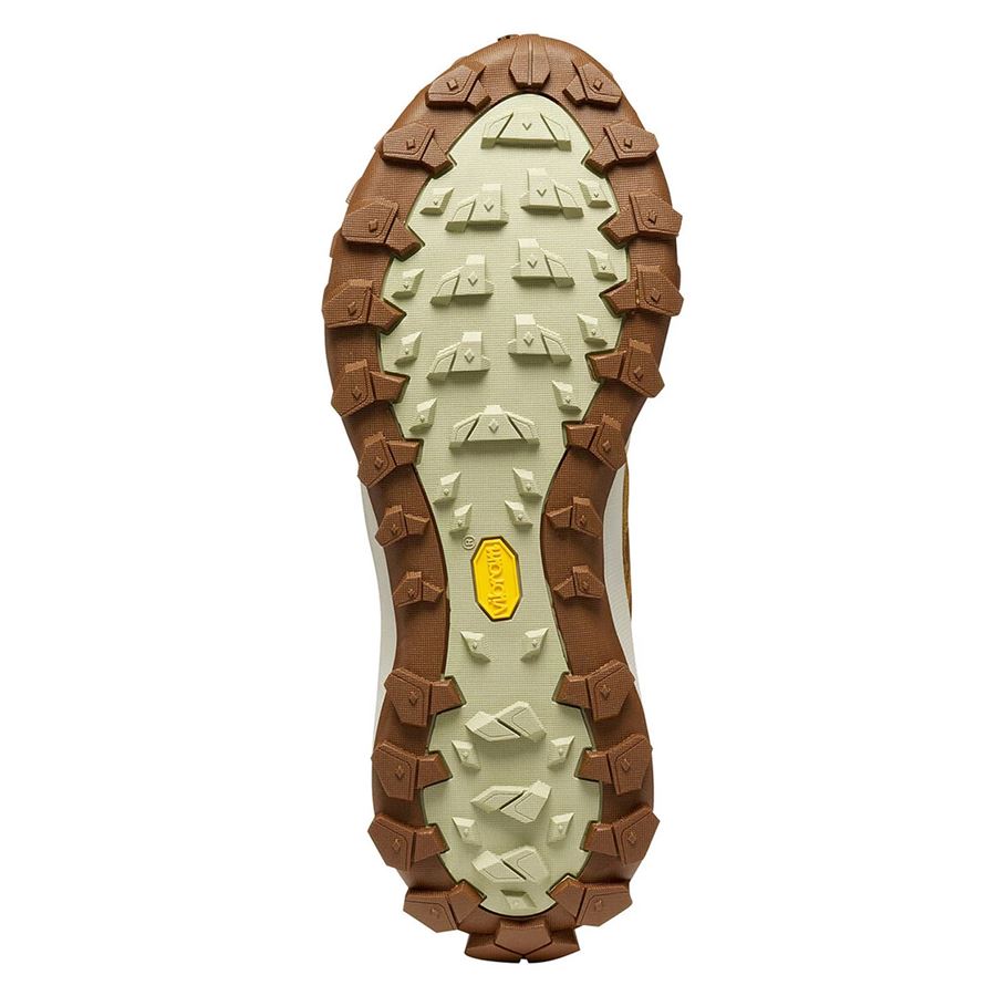Rove scarpa da trail da uomo Scarpa | 327183509